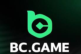 Understanding the BC Co Mirror Site A Comprehensive Guide